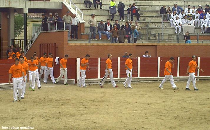 foto de los novillos